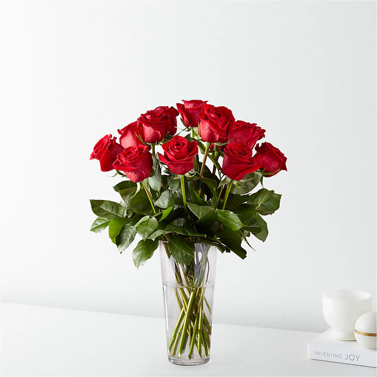 romantic-red-roses-charlotte-NC