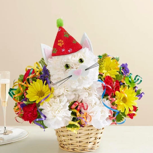 Purrfect Birthday Surprise