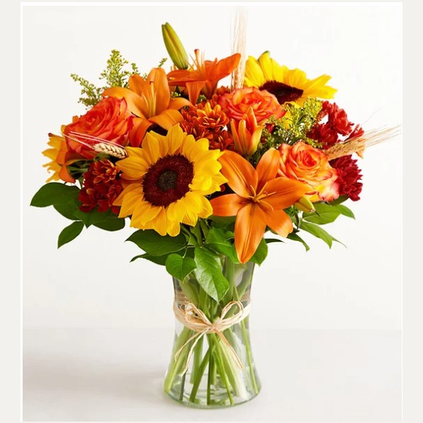 Fields of Europe® for Fall