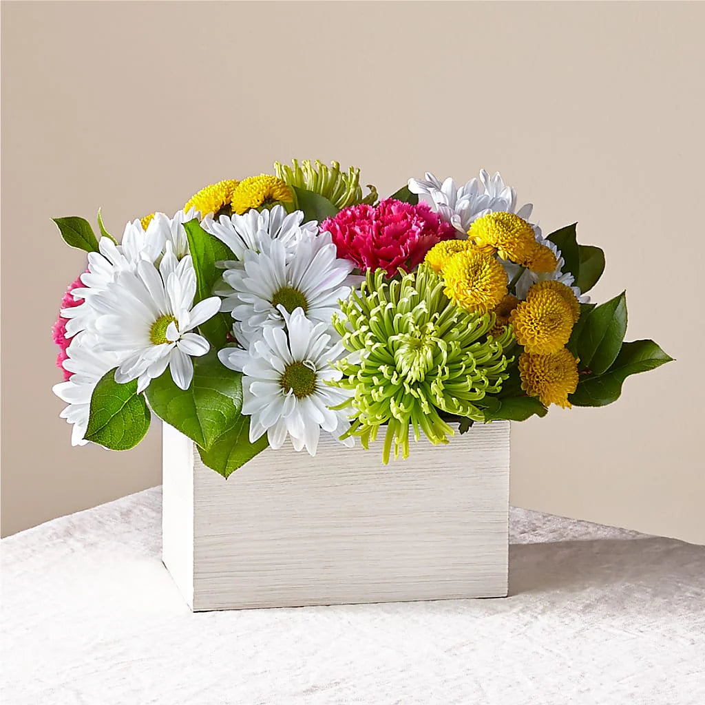 Sorbet Sunrise Box - Flower Art USA