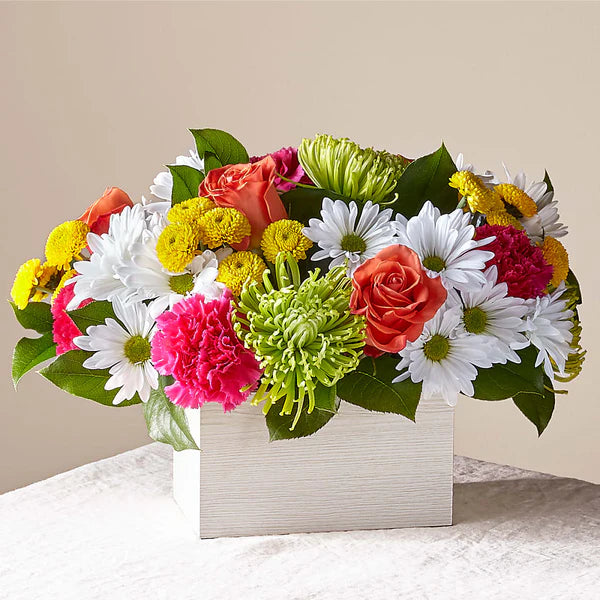 Sorbet Sunrise Box - Flower Art USA