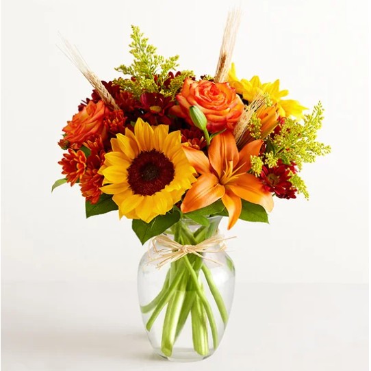 Fields of Europe® for Fall